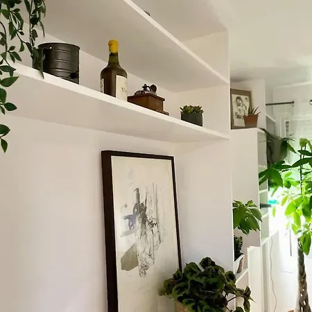 The Big Island Appartement